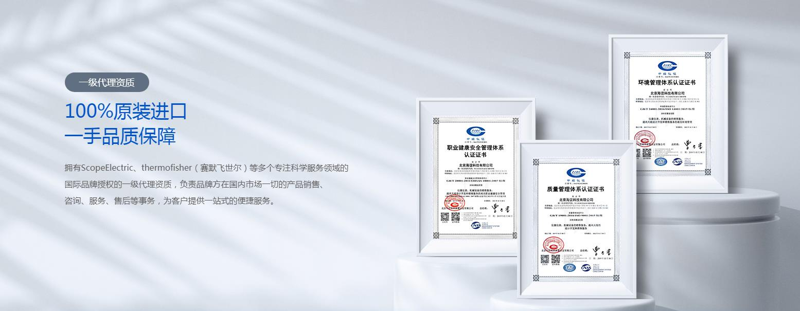 公司優(yōu)勢(shì)：技術(shù)領(lǐng)先與專業(yè)服務(wù)并重